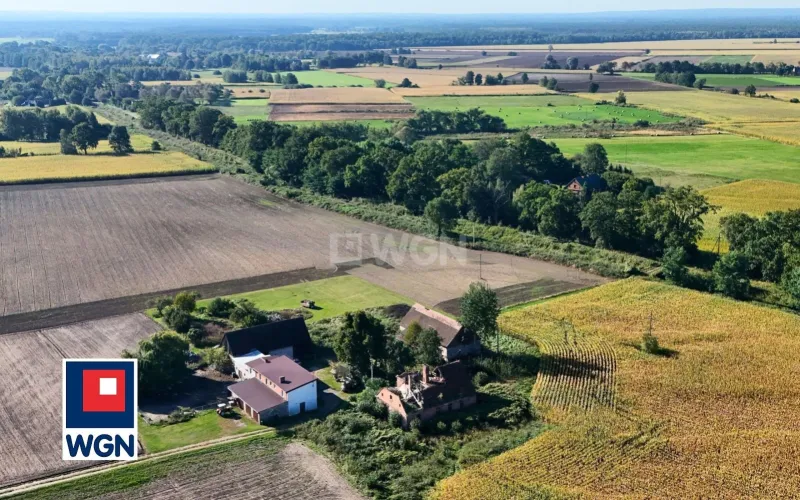Dom na  sprzedaż Henrykowice - Działka 4300 m2 z zabudowaniami - Henrykowice - Dolina Baryczy.